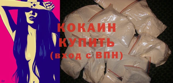 твердый Новодвинск