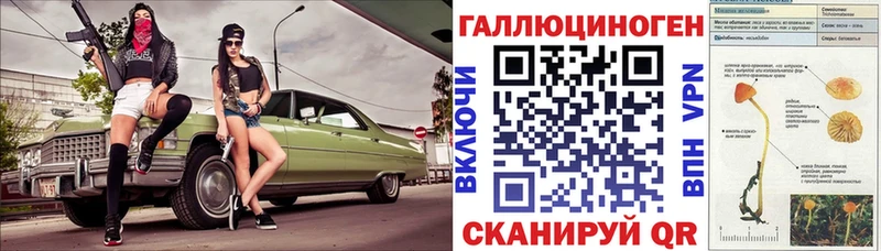как найти наркотики  Кизилюрт  Галлюциногенные грибы Psilocybe 